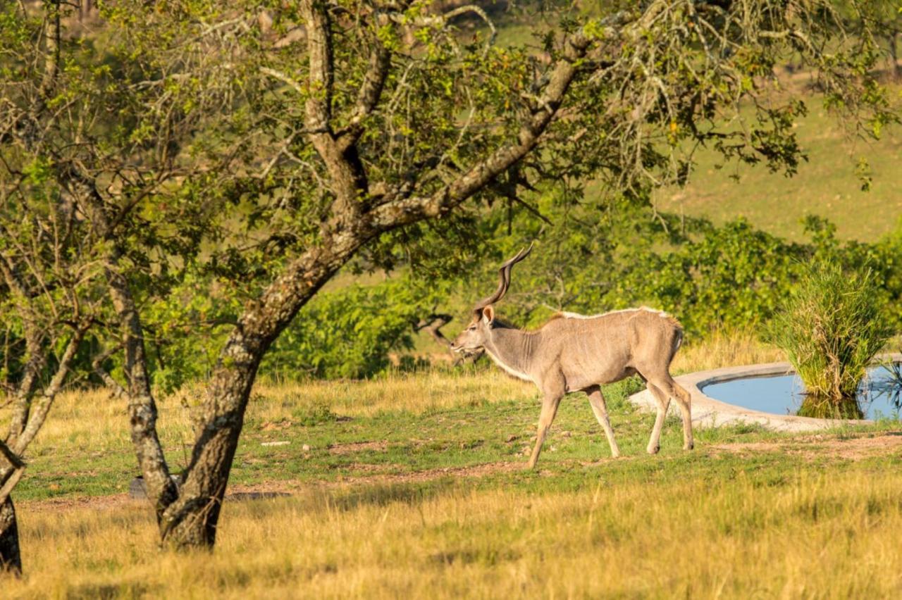 @Nature Luxury Cottages Mbombela Esterno foto