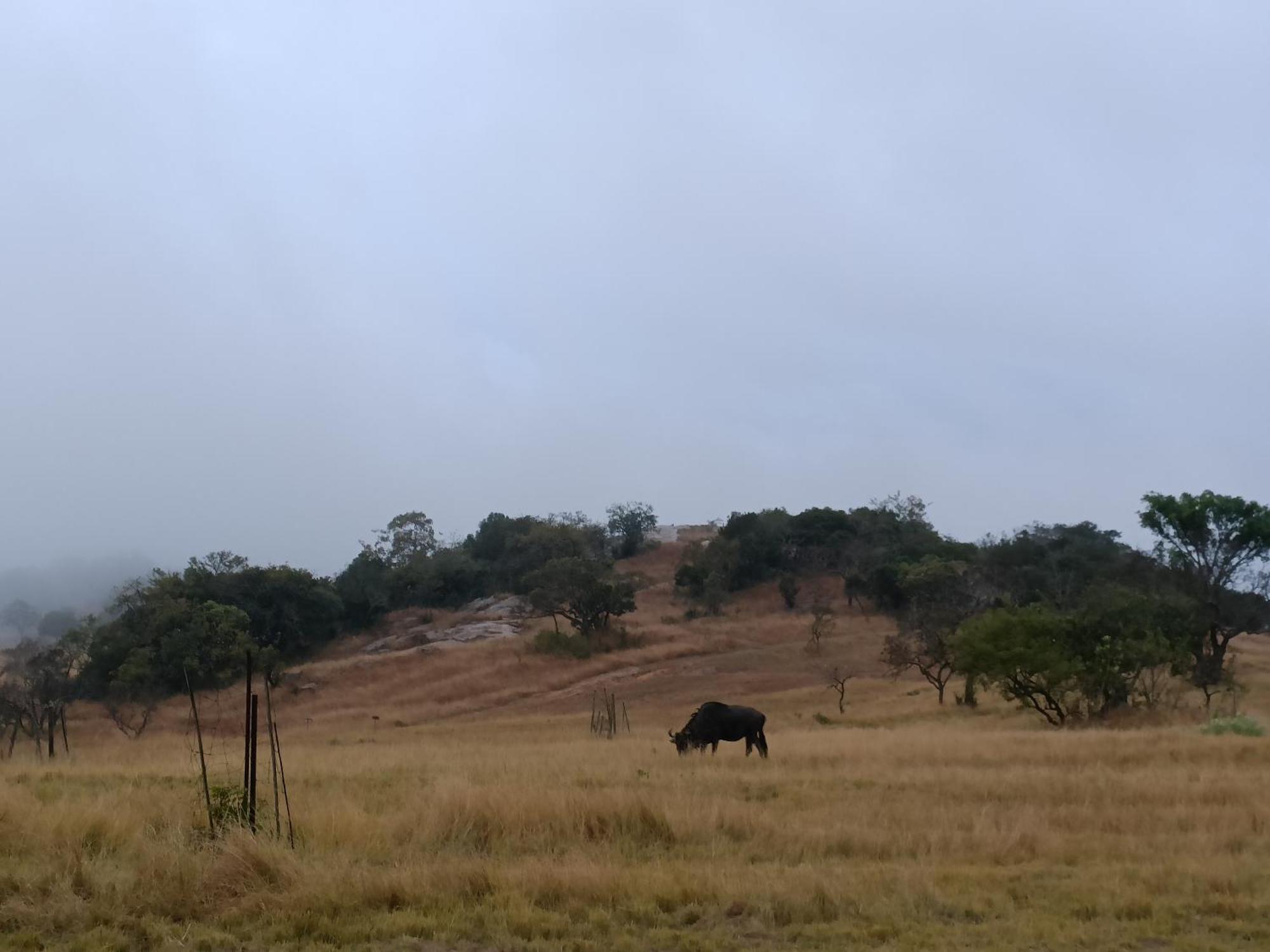 @Nature Luxury Cottages Mbombela Esterno foto