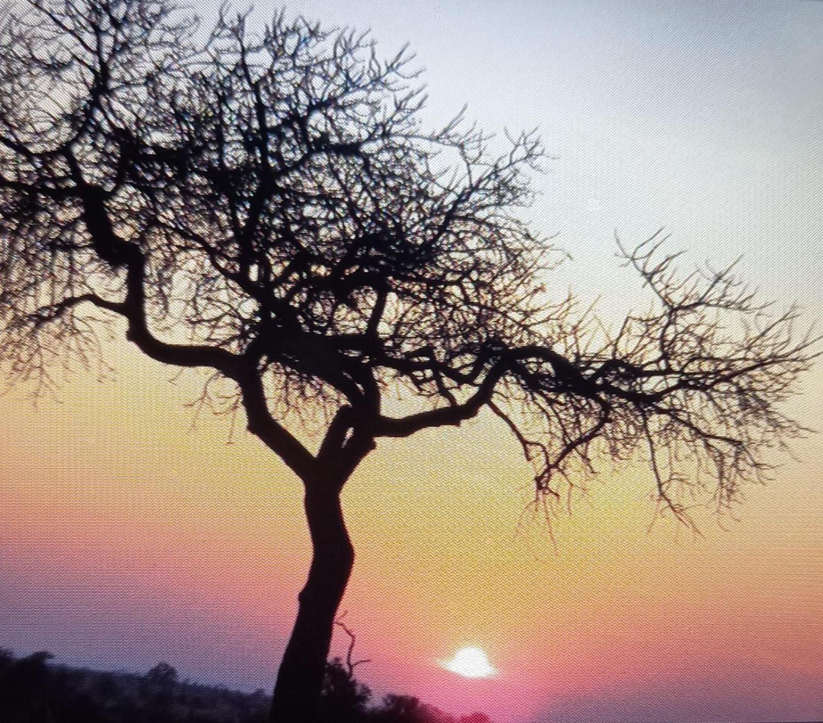 @Nature Luxury Cottages Mbombela Esterno foto