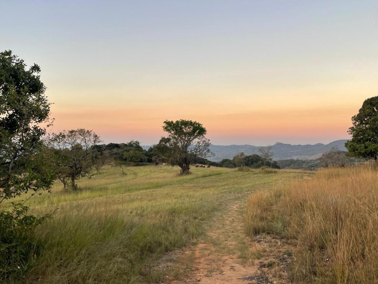 @Nature Luxury Cottages Mbombela Esterno foto