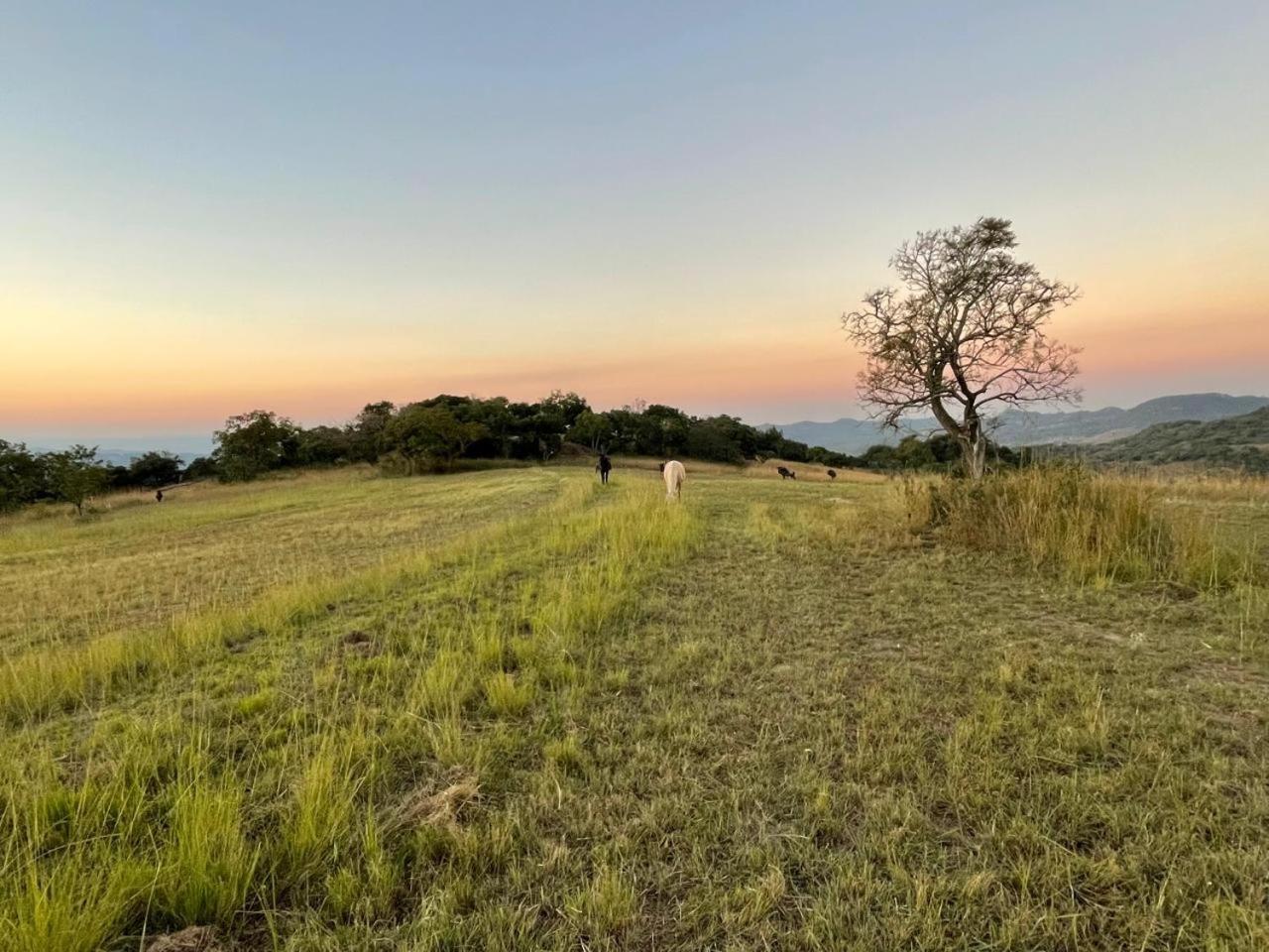@Nature Luxury Cottages Mbombela Esterno foto