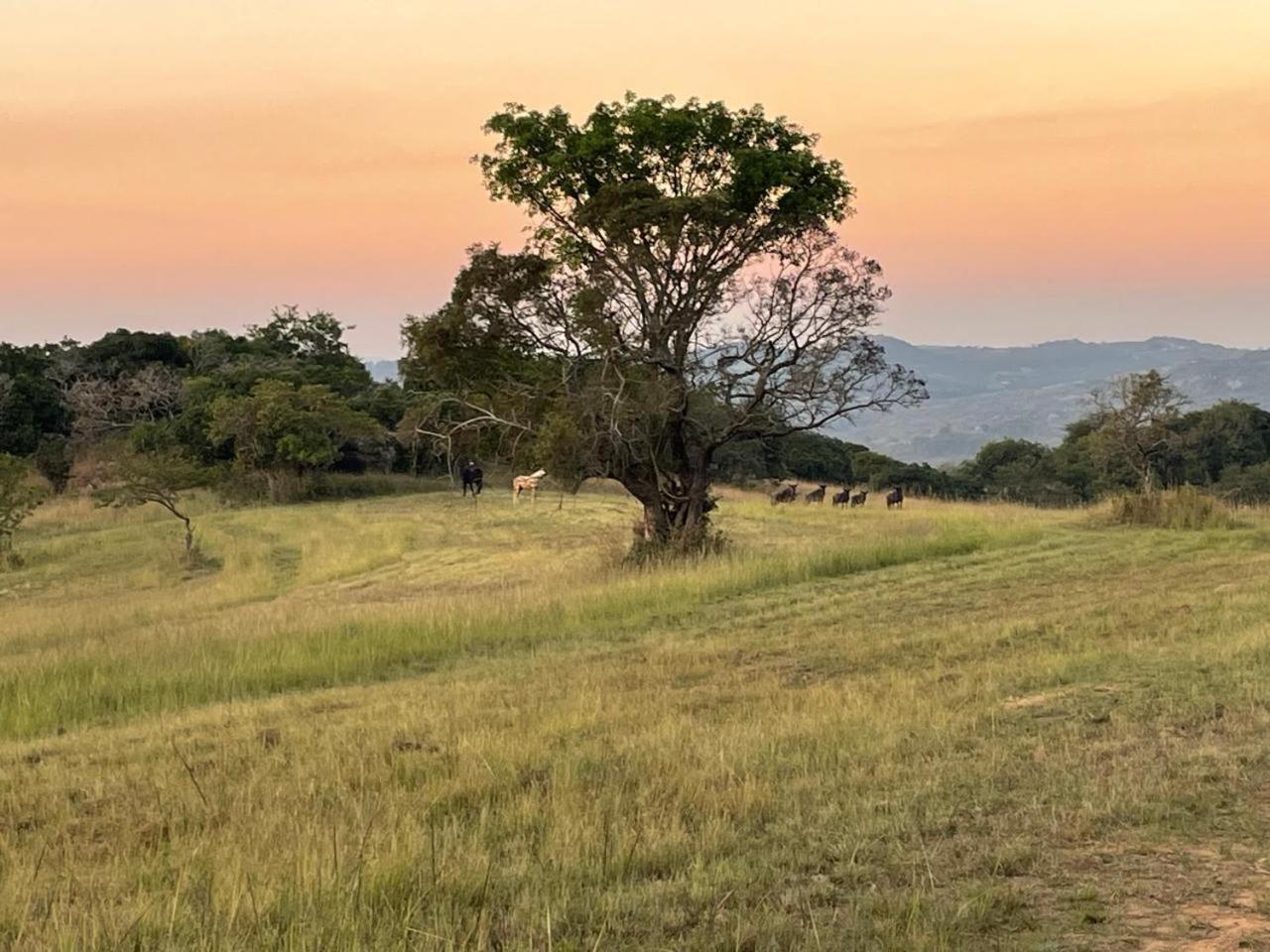 @Nature Luxury Cottages Mbombela Esterno foto