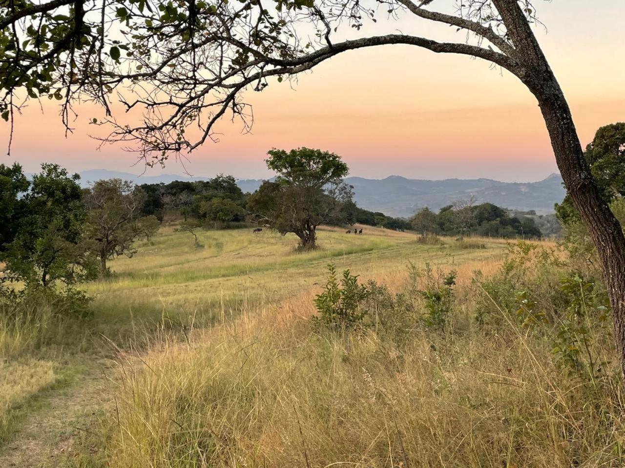 @Nature Luxury Cottages Mbombela Esterno foto
