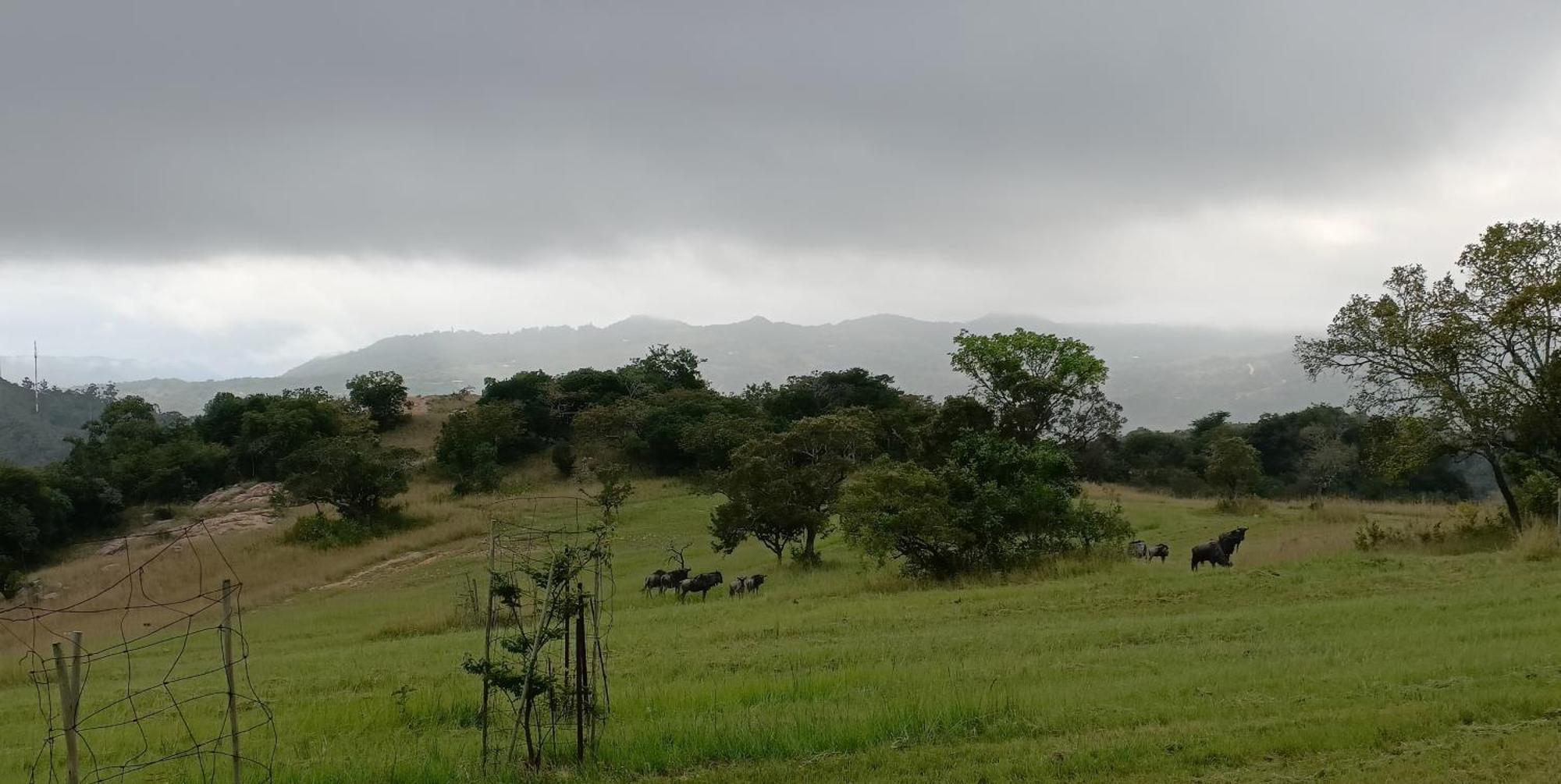 @Nature Luxury Cottages Mbombela Esterno foto