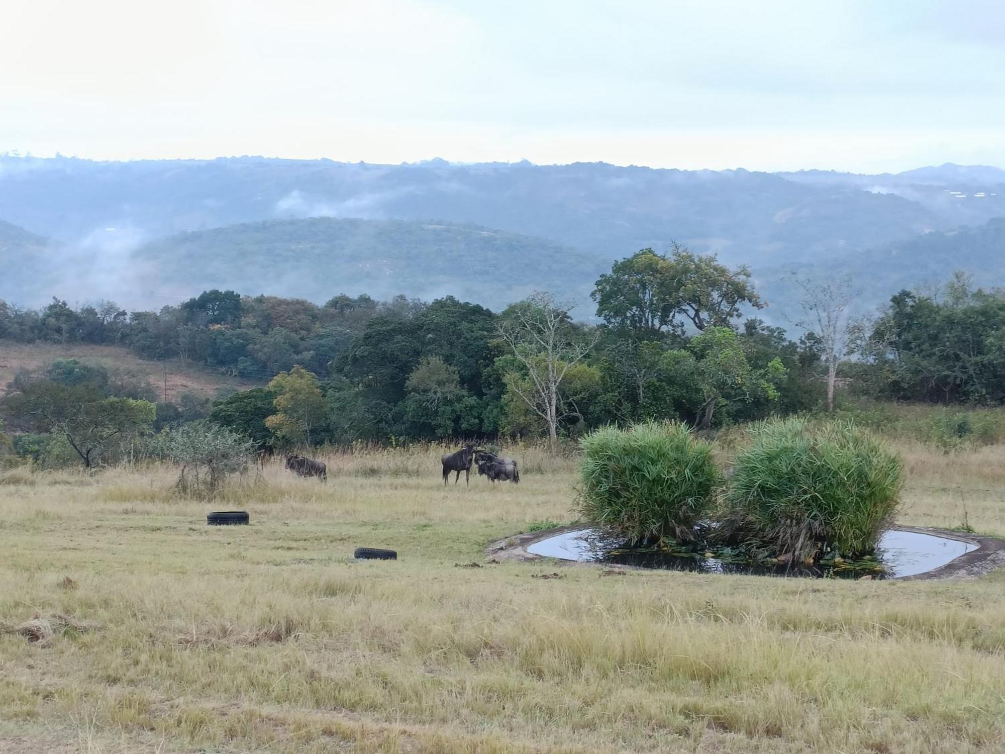 @Nature Luxury Cottages Mbombela Esterno foto