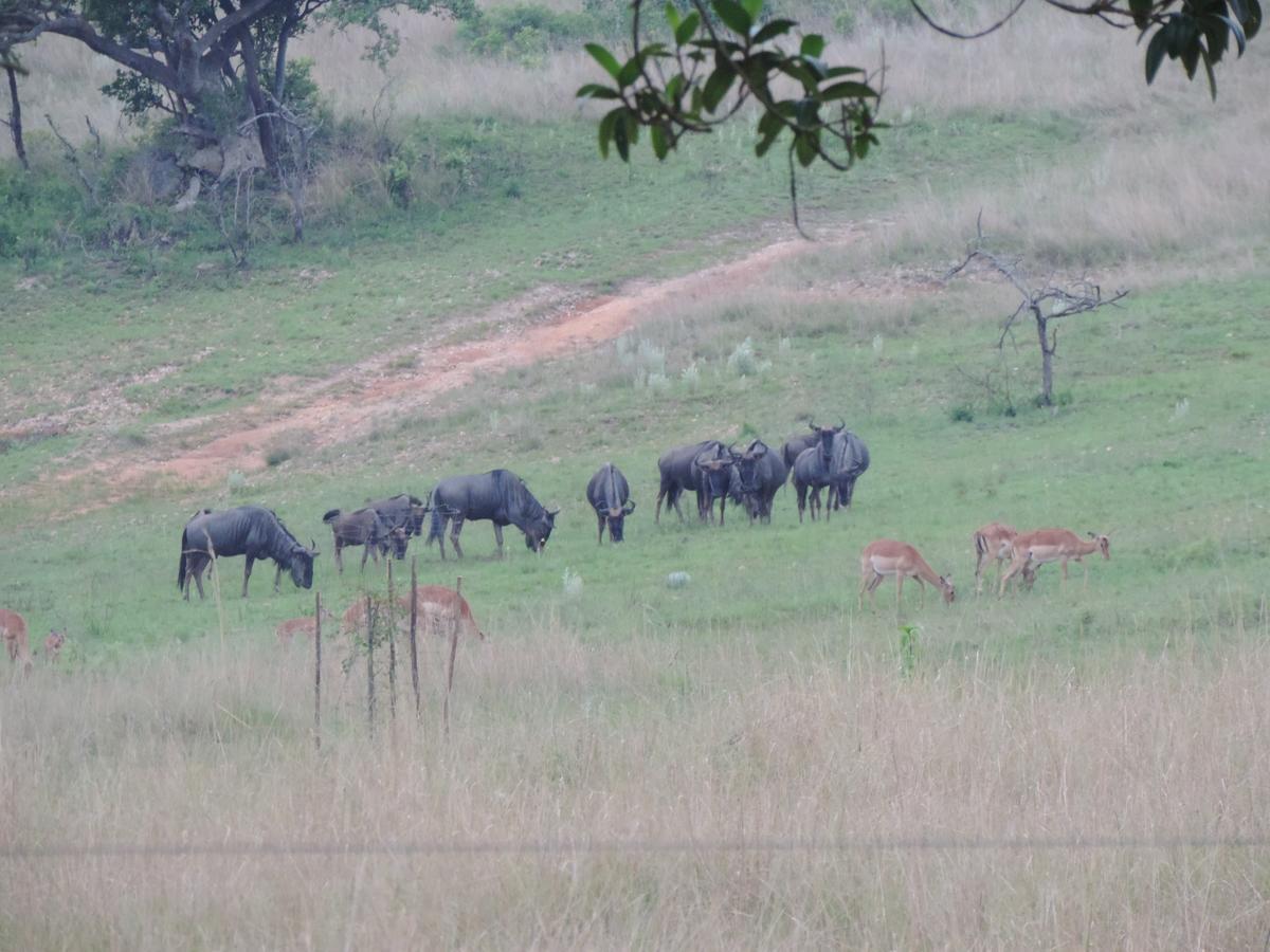 @Nature Luxury Cottages Mbombela Esterno foto