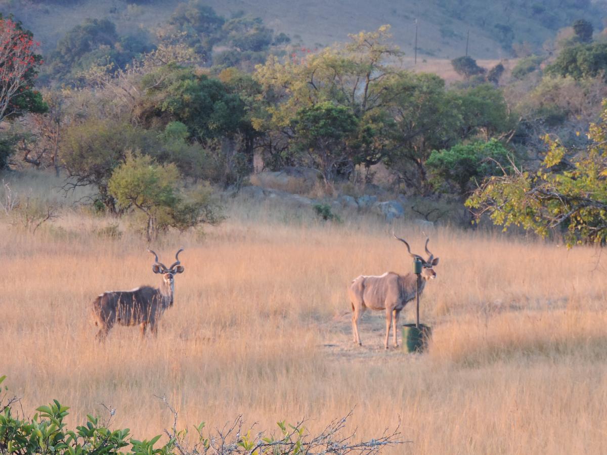 @Nature Luxury Cottages Mbombela Esterno foto