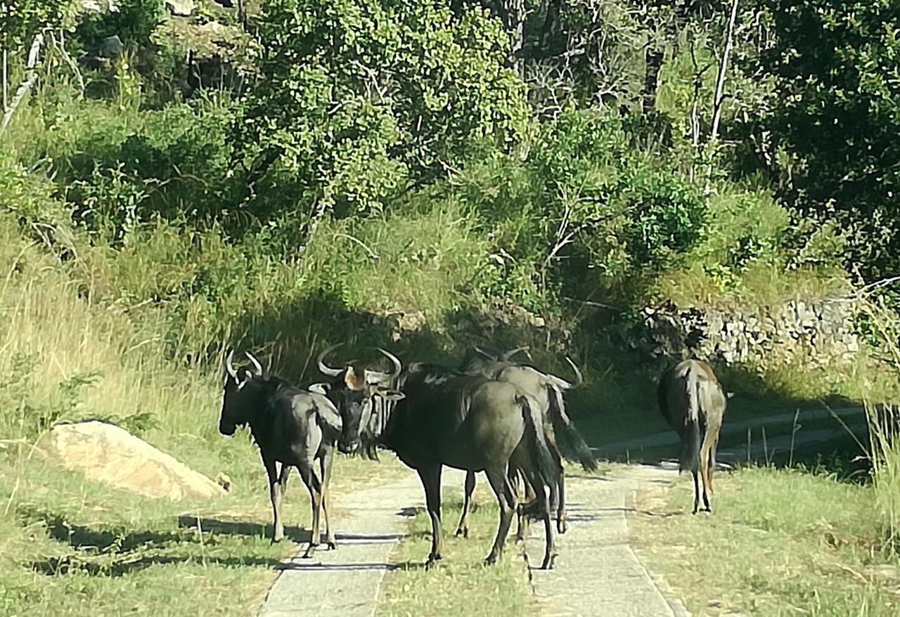@Nature Luxury Cottages Mbombela Esterno foto