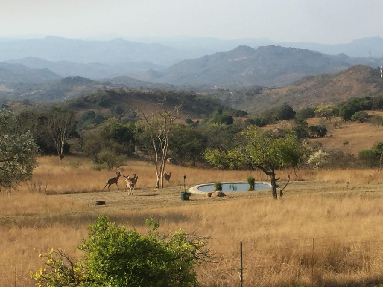 @Nature Luxury Cottages Mbombela Esterno foto