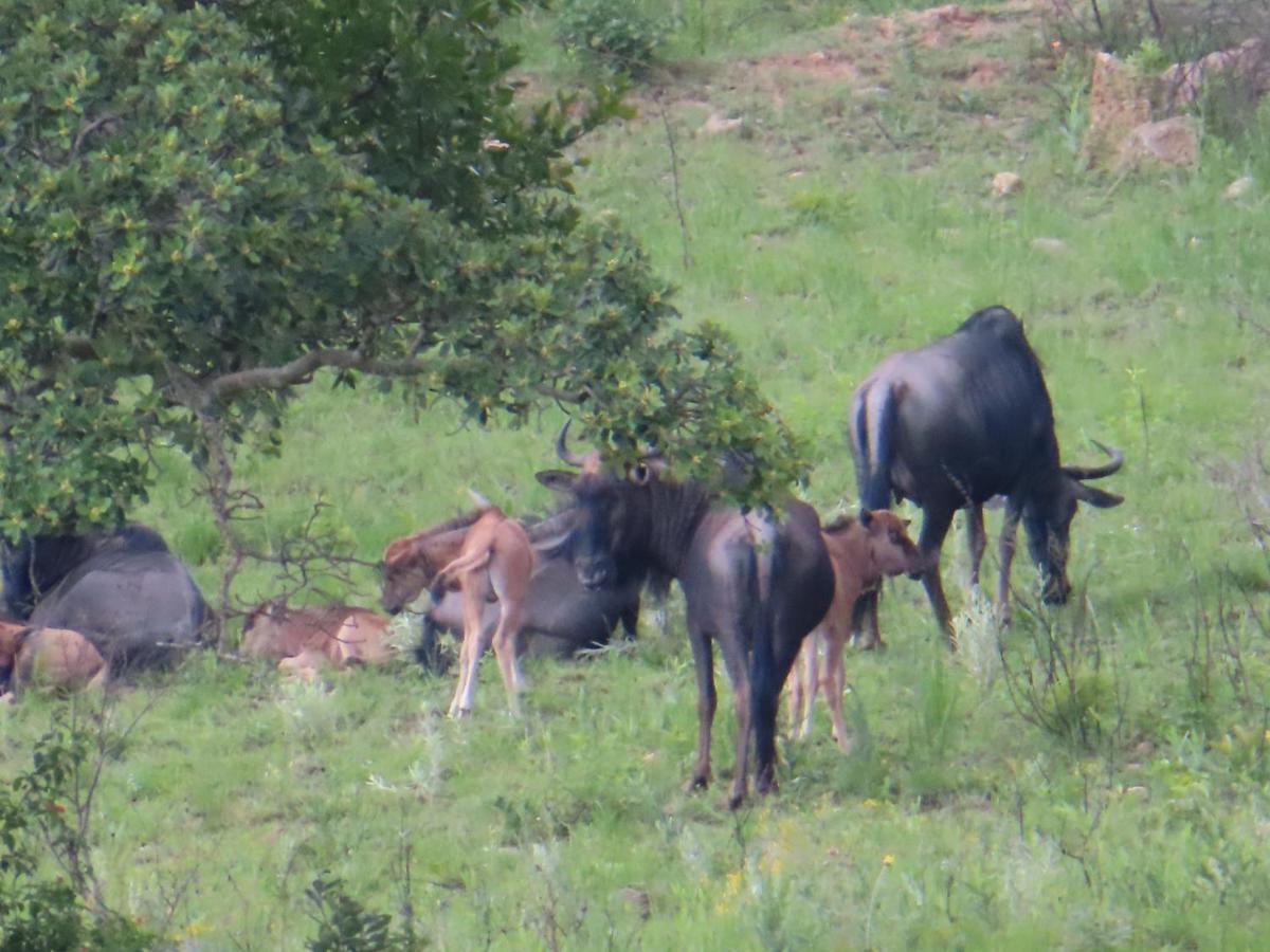 @Nature Luxury Cottages Mbombela Esterno foto
