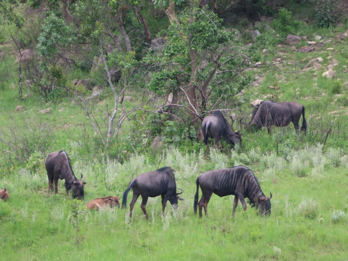 @Nature Luxury Cottages Mbombela Esterno foto