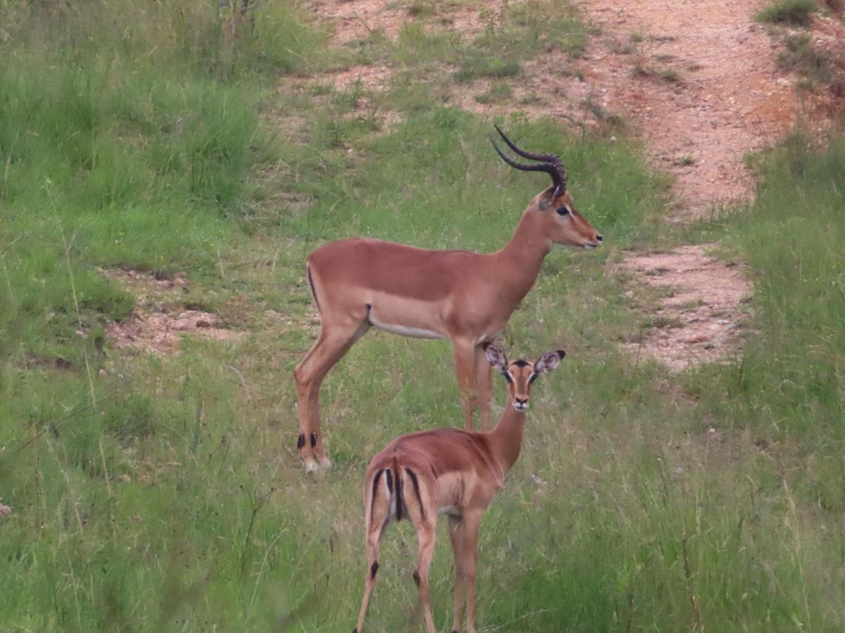 @Nature Luxury Cottages Mbombela Esterno foto